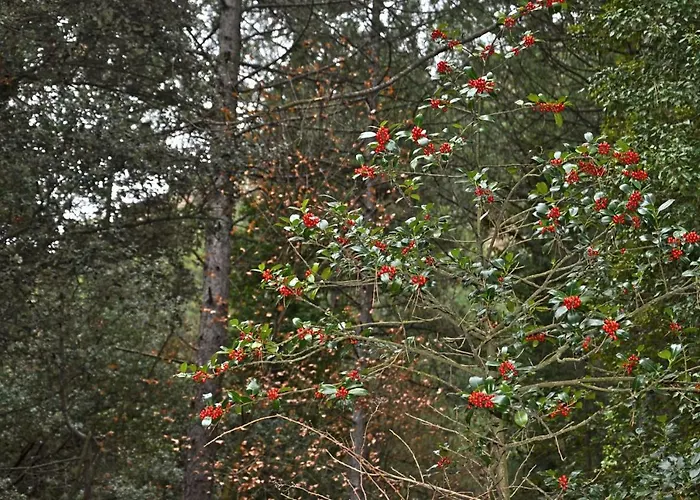 Casa Llovet Lantställe Fuentespalda