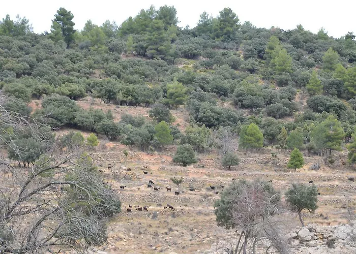 Casa Llovet Lantställe Fuentespalda